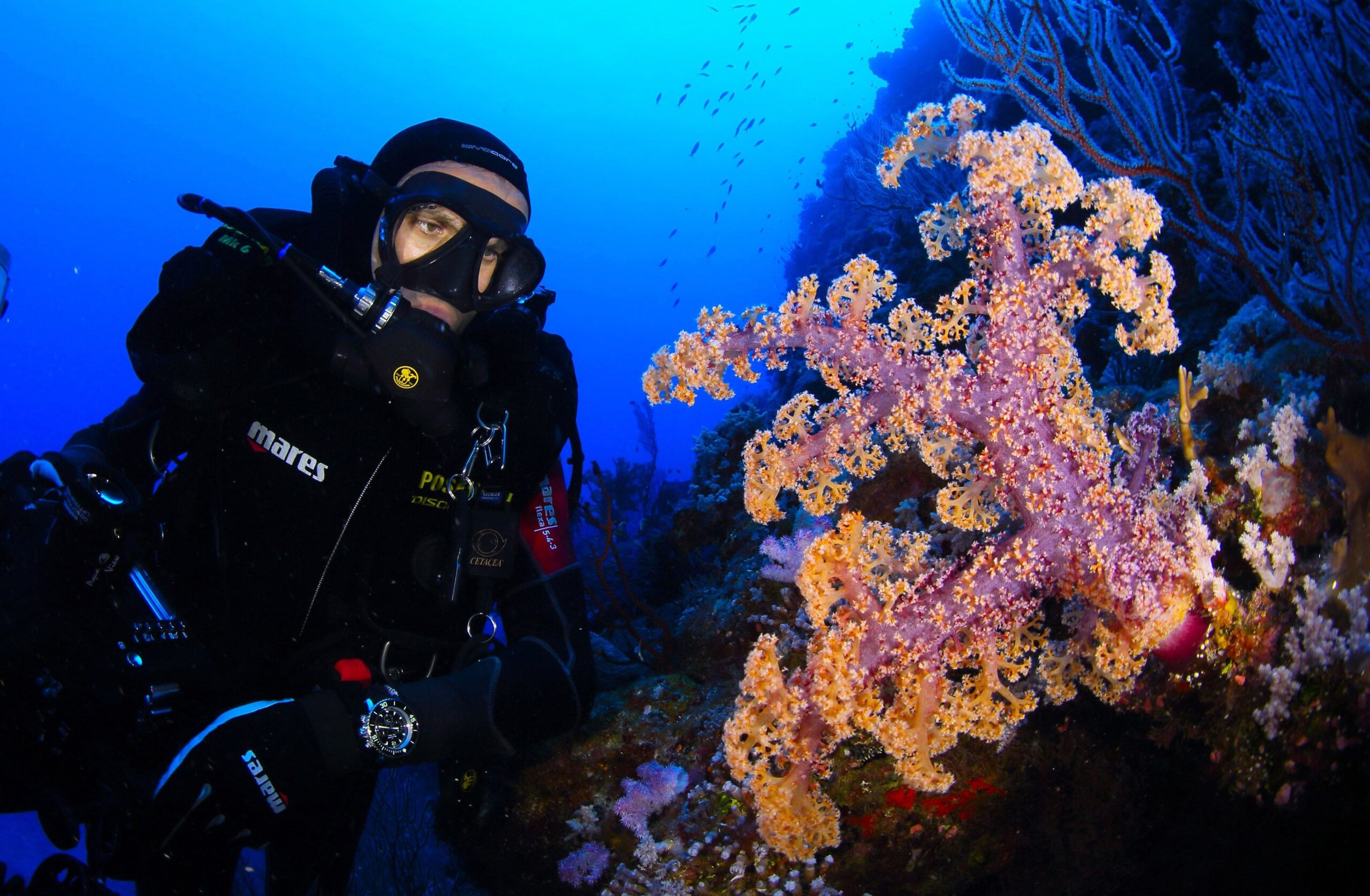 A Journey into Oceanography and Coastal Sciences